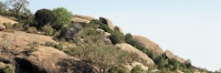 Landscape_P3_1805