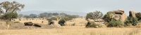 Landscape_P4_1828_4x1