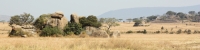 Landscape_P4_1829_4x1