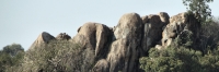 Landscape_P9_1796