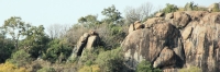 Landscape_P9_1797