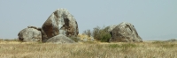 Lions_Pan_4821