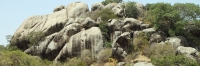 RockyEnvironment_4826