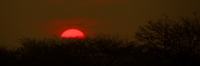 Sunset_1694