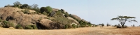 Tanzania_Serengeti_2_Landscape_P3_1804_06_Panorama_8_4x1