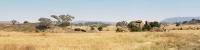 Tanzania_Serengeti_2_Landscape_P4_1827_30_Panorama_10_4x1