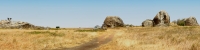 Tanzania_Serengeti_Lions_P4_4218_21_Panorama_12_4X1