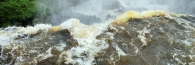 Arg_Brazil_Iguasu_3877_WD_