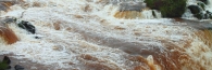 Brazil_Arg_Iguasu_3723