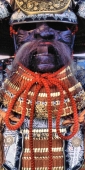 Kyoto_5_SamuraiArmour_4000V