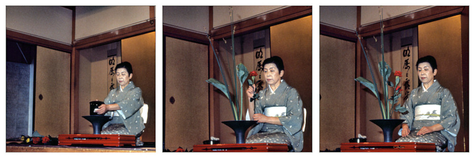 Kyoto7IkebanaComposite_9000.jpg