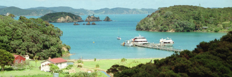 BayOfIslands7_g.jpg