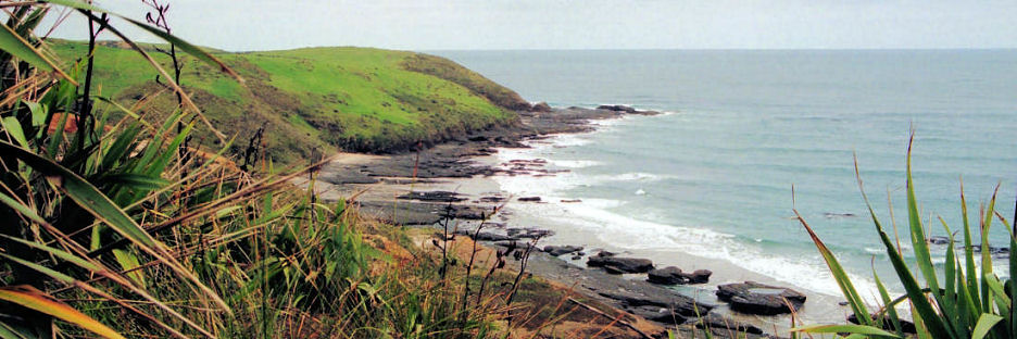 HokiangaHarbour1_g.jpg