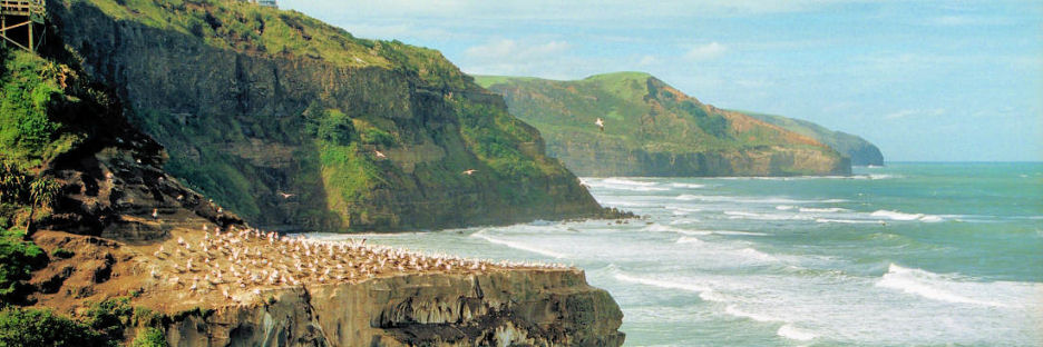 Muriwai16LookingSouth_g.jpg