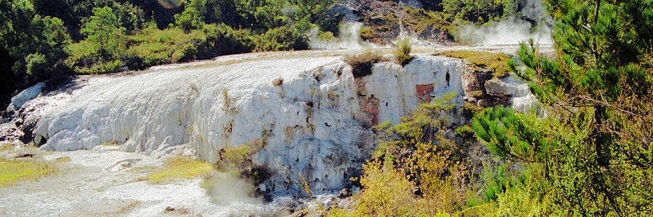 OrakeiKorako10_g.jpg
