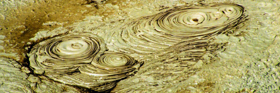 Rotorua41Whakarewarewa_g.jpg
