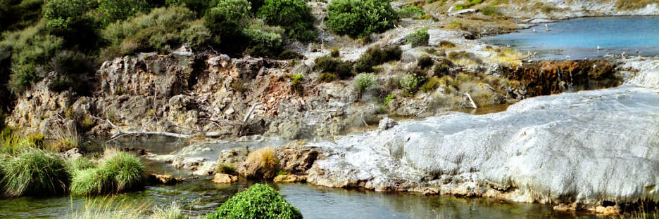 Rotorua49Whakarewarewa_g.jpg