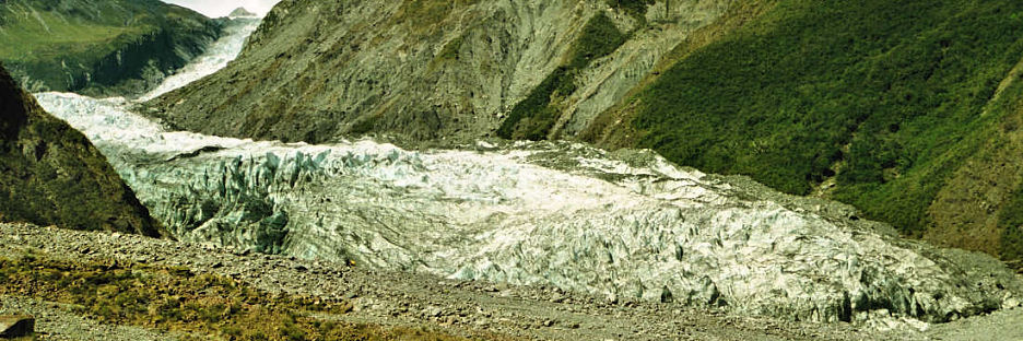 FoxGlacier30_g.jpg