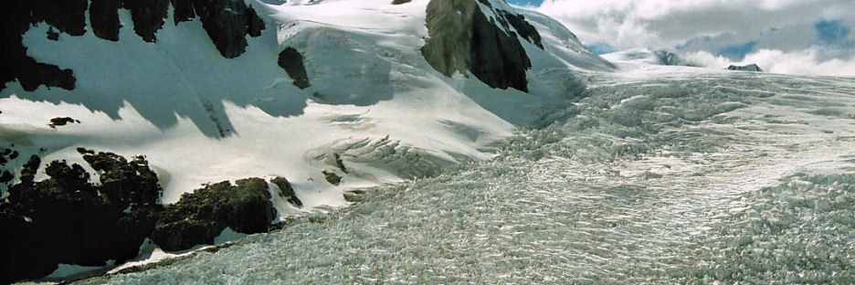 FranzJosefGlacier15Air_g.jpg