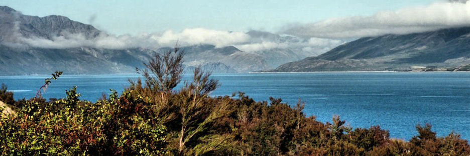 LakeWanaka2_g.jpg