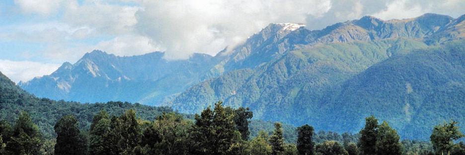 SouthernAlps17HaastValley_g2.jpg
