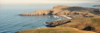 Dunedin&OtagoPeninsular6_g