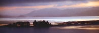 Dunedin&OtagoPeninsular7Dusk_g