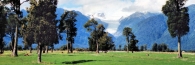 FoxGlacier26_g