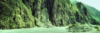 FoxGlacier28_g