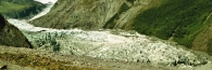 FoxGlacier30_g