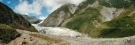 FoxGlacier31_g