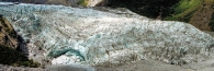 FoxGlacier32_g