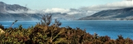 LakeWanaka2_g