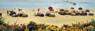 MoerakiBoulders2_g