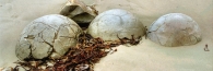 MoerakiBoulders3_g