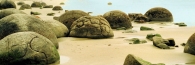 MoerakiBoulders7_g