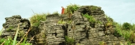 Punakaiki9PancakeRocks_g