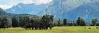 SouthernAlps17HaastValley_g
