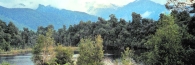 SouthernAlps2_g