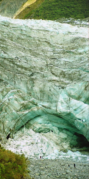 FoxGlacier34_g.jpg
