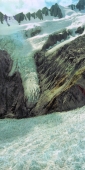 FranzJosefGlacier11Air_g