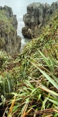 Punakaiki14PancakeRocks_g