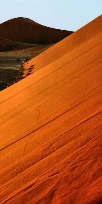 NamibNaukluftNationalPark19_4000_v.jpg