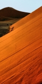 NamibNaukluftNationalPark19_4000_v
