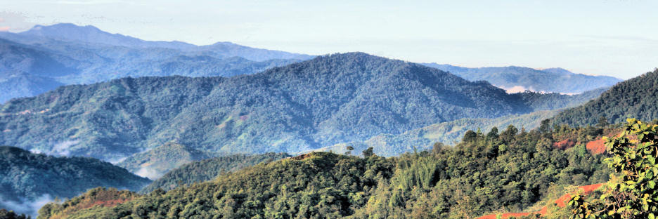 MountKinabalu_0134_m.jpg