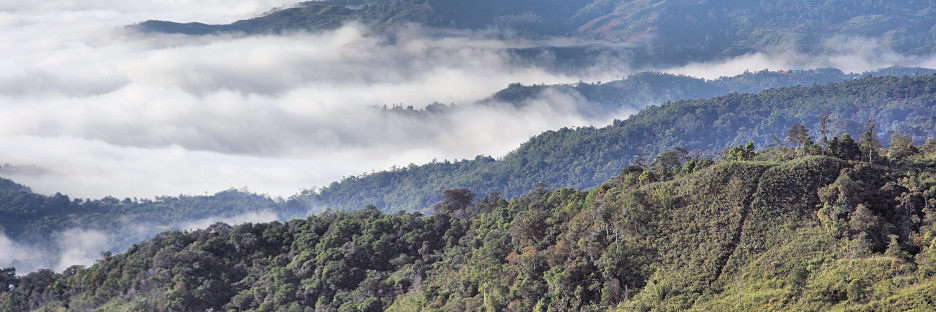 MountKinabalu_0168_m.jpg