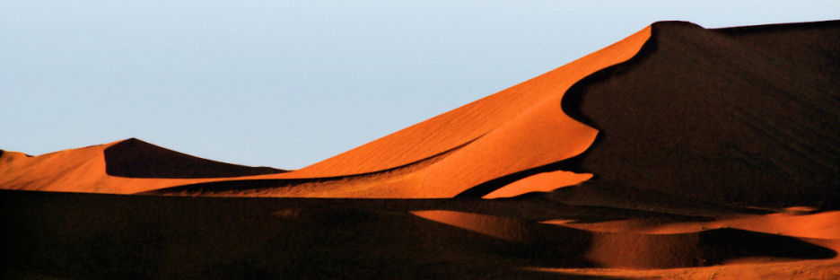 NamibNaukluftNationalPark35_4000.jpg