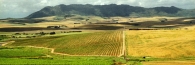 ApprochingCapeTown3_4300