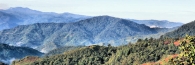 MountKinabalu_0134_m