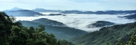 MountKinabalu_0135_m